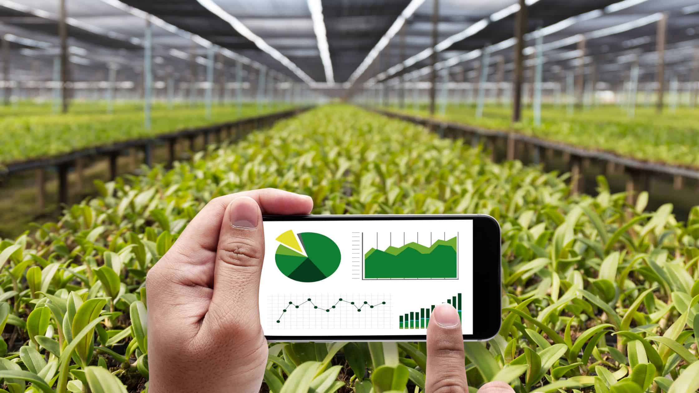 Computer Vision in Agriculture