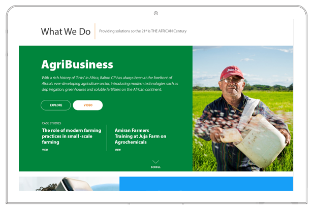 Balton CP website agribusiness section