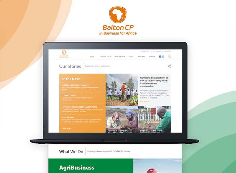 Who developed Balton CP website