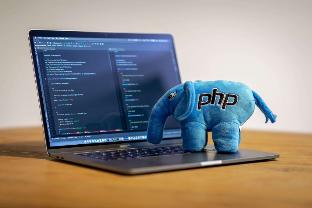 Full stack PHP developer